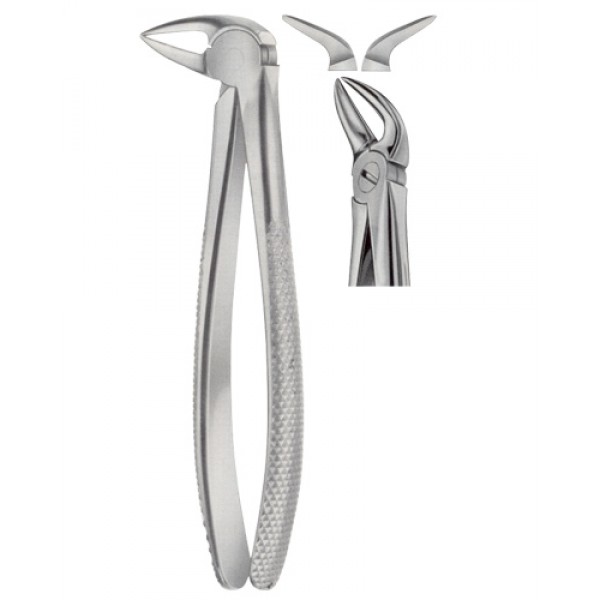 Tooth Extracting Forceps